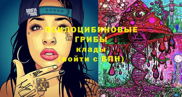 мдпв Богданович