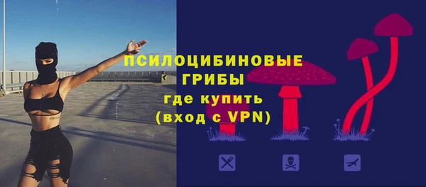 экстази Богородицк