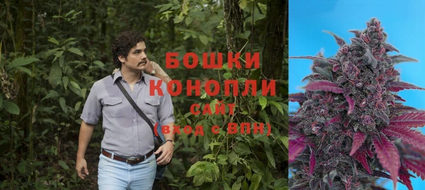 мдпв Богданович
