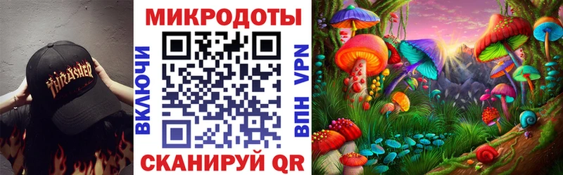купить наркоту  Тогучин  Галлюциногенные грибы GOLDEN TEACHER 